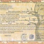 Borage Al Amel plant protection certificate